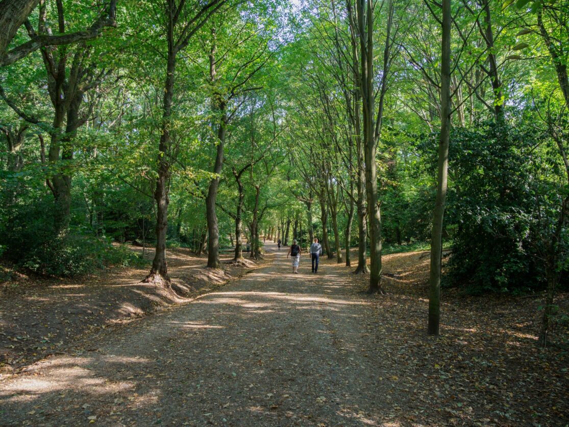 Hampstead Heath